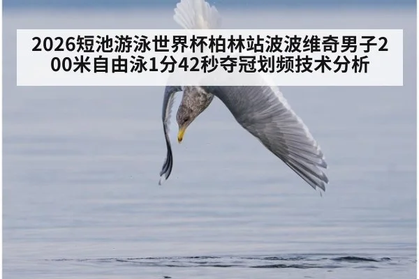2026短池游泳世界杯柏林站波波维奇男子200米自由泳1分42秒夺冠划频技术分析